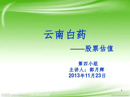 《股票估值》PPT课件