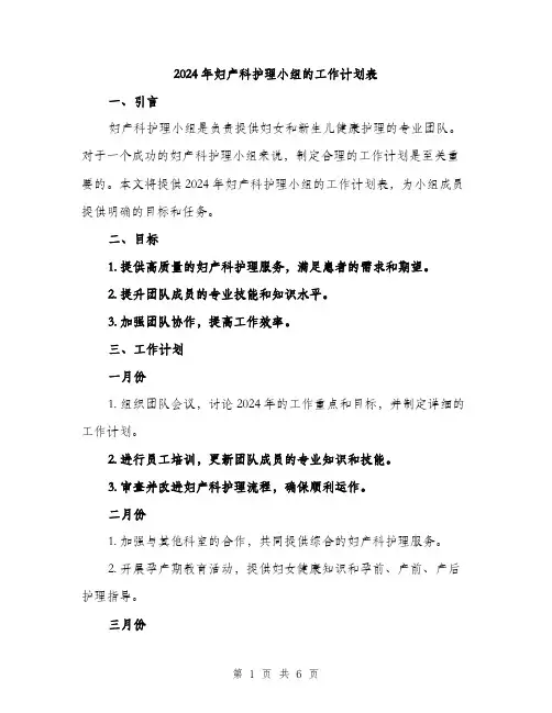 2024年妇产科护理小组的工作计划表(二篇)