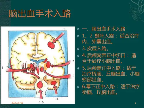 神经外科手术入路ppt课件