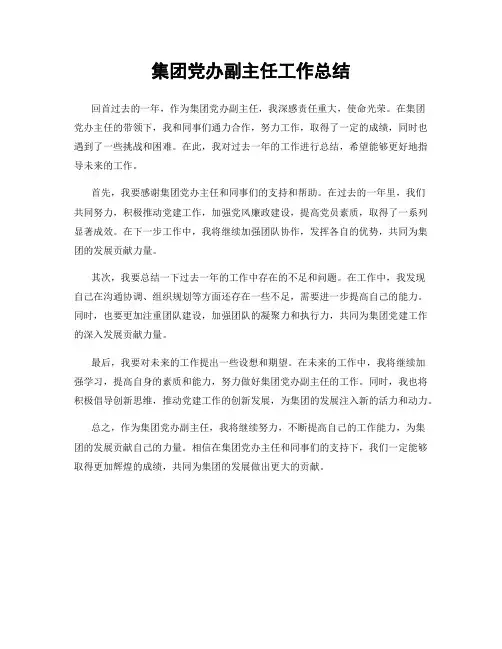 集团党办副主任工作总结
