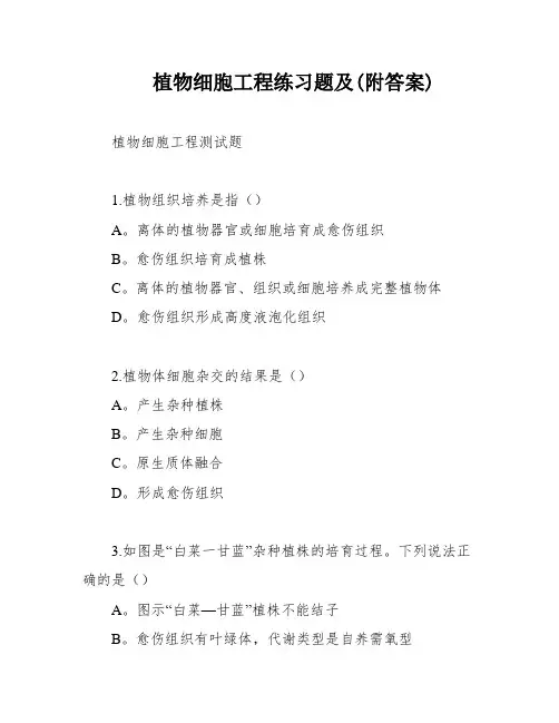 植物细胞工程练习题及(附答案)