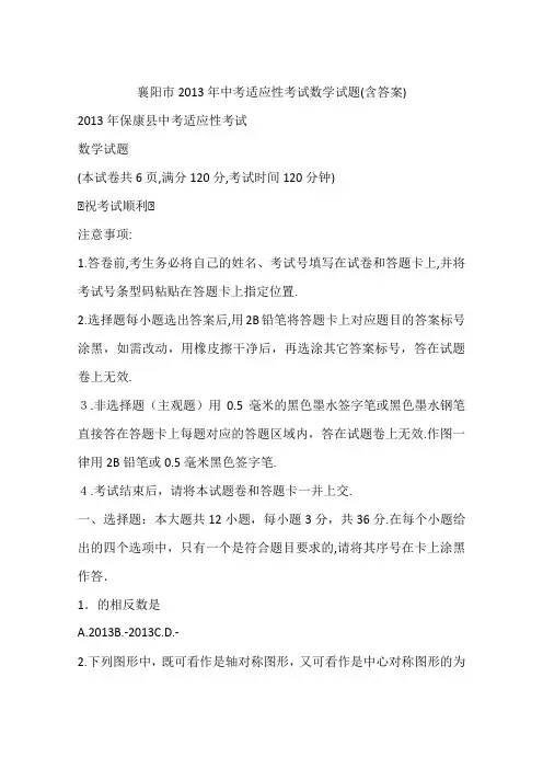 襄阳市2013年中考适应性考试数学试题(含答案)