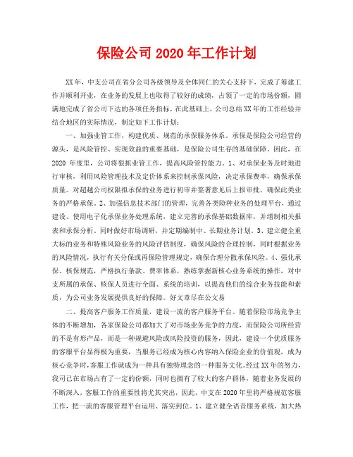 保险公司2020年工作计划