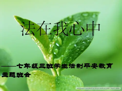 法制教育安全主题班会课件2幻灯片PPT