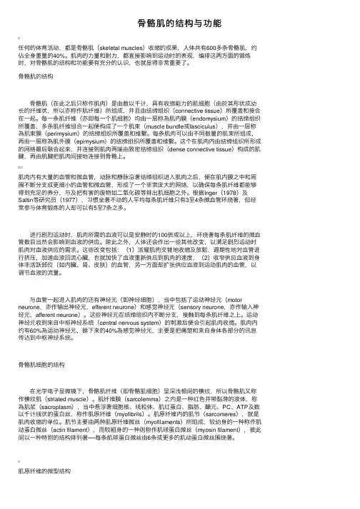 骨骼肌的结构与功能