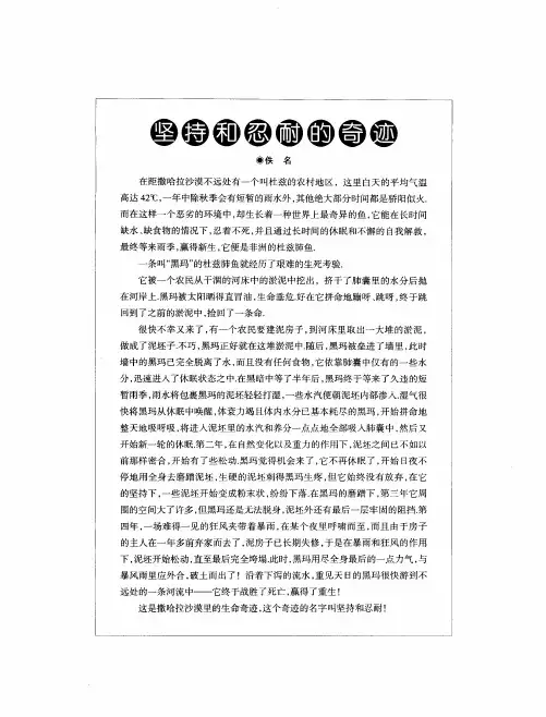 坚持和忍耐的奇迹