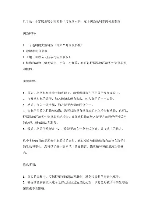 家庭生物小实验制作过程