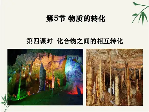 九年级上科学_物质的转化_ppt浙教版3