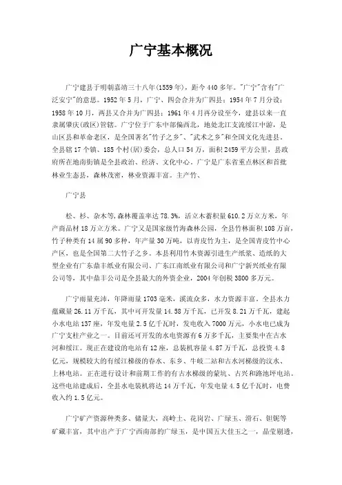 广宁基本概况