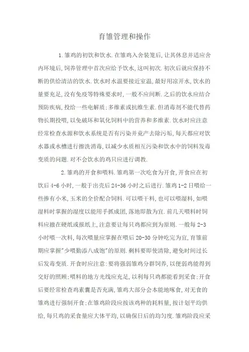 育雏管理和操作