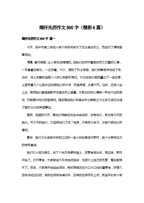 缅怀先烈作文800字(精彩6篇)