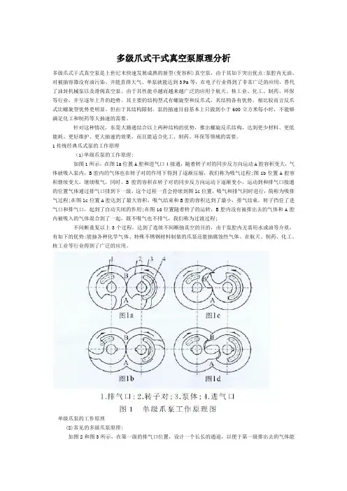 多级爪式干式真空泵原理分析报告