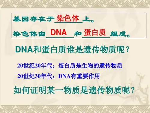 生物必修二第三章复习ppt课件