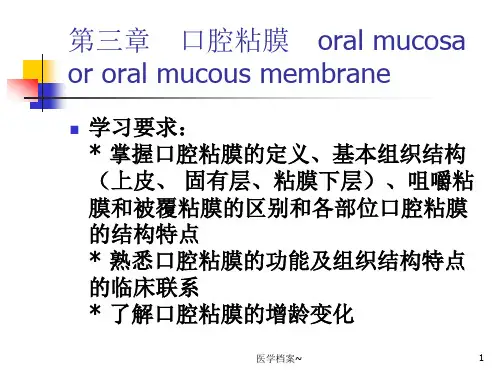 口腔组织病理学——口腔黏膜【资料参考】
