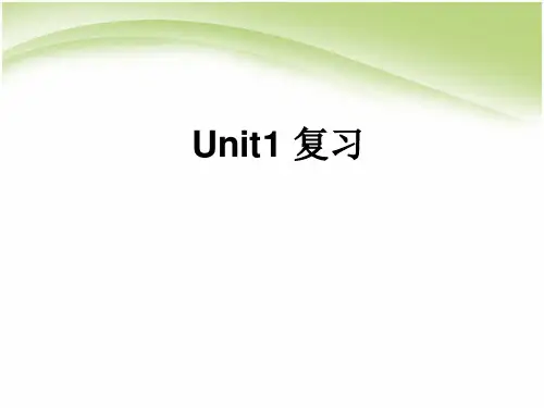 人教版高中英语必修1-总复习-Unit1 课件 (共28张PPT)