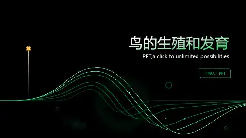 八年级下册人教版生物课件鸟的生殖和发育