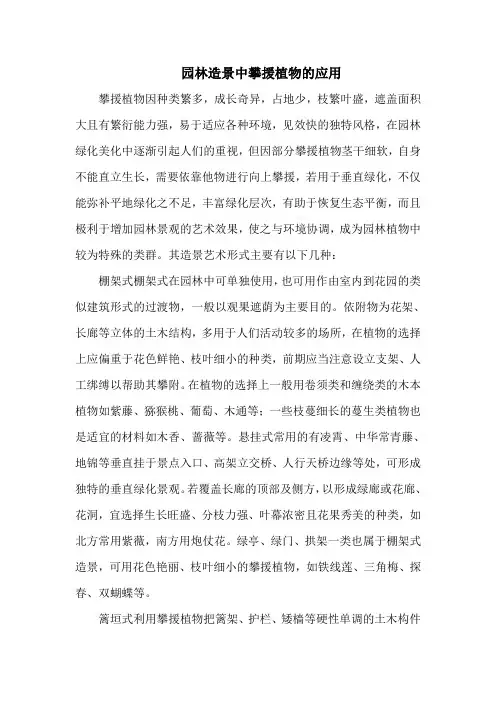 园林造景中攀援植物的应用