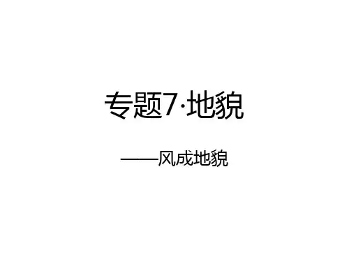 风成地貌_精品文档