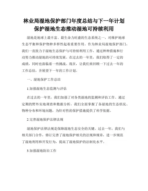 林业局湿地保护部门年度总结与下一年计划保护湿地生态推动湿地可持续利用