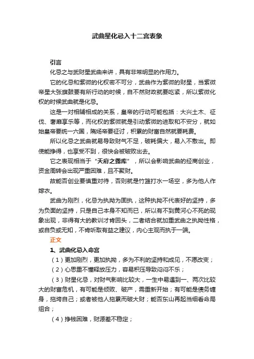 武曲星化忌入十二宫表象