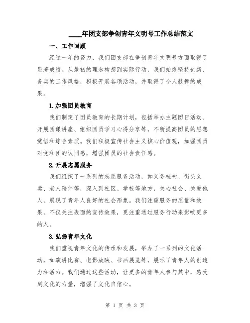 2024年团支部争创青年文明号工作总结范文