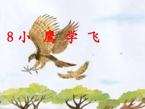 二年级上册小鹰学飞_课件
