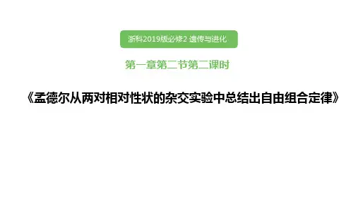 04 浙科版(2019)高中生物必修二《孟德尔从两对相对性状的杂交实验中总结出自由组合定律》第二课时
