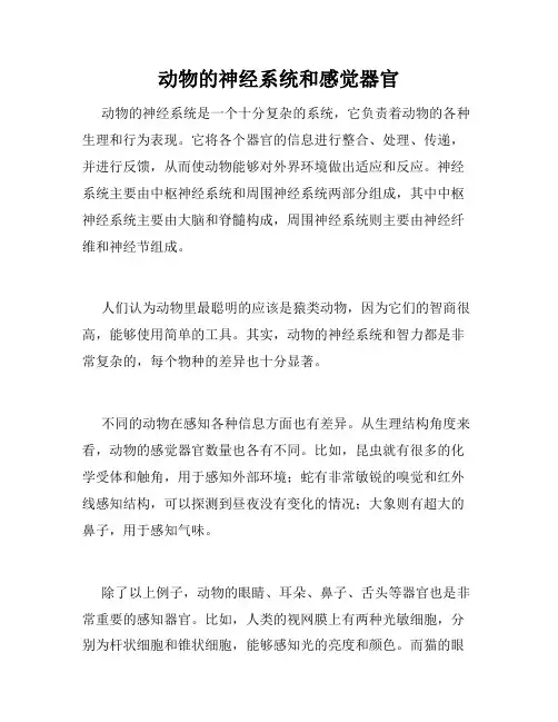动物的神经系统和感觉器官