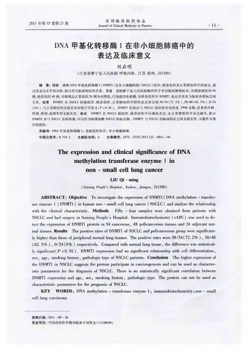 DNA甲基化转移酶1在非小细胞肺癌中的表达及临床意义