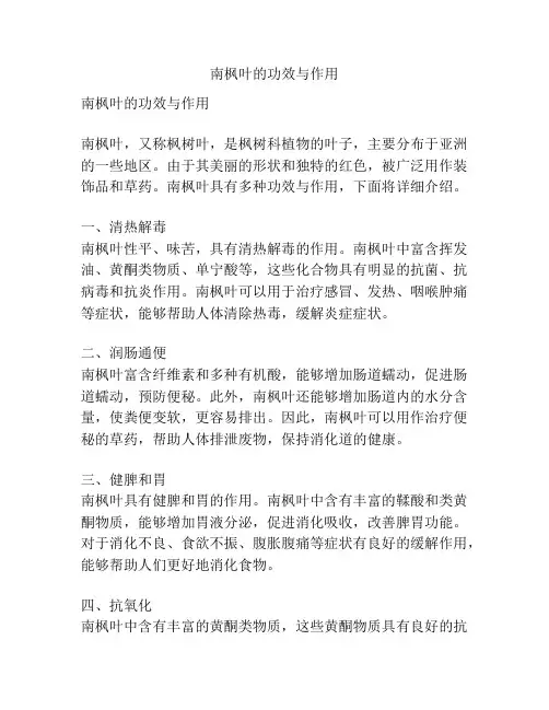 南枫叶的功效与作用