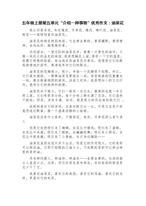 五年级上册第五单元“介绍一种事物”优秀作文：油菜花