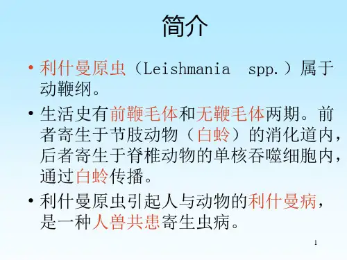杜氏利什曼原虫ppt课件