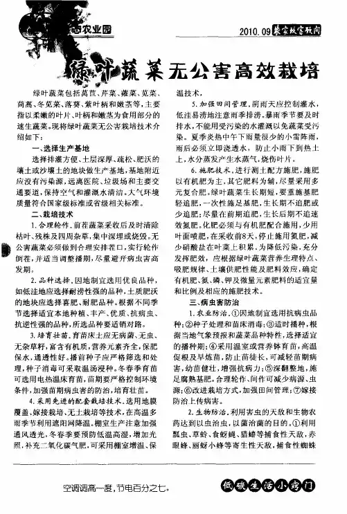 绿叶蔬菜无公害高效栽培