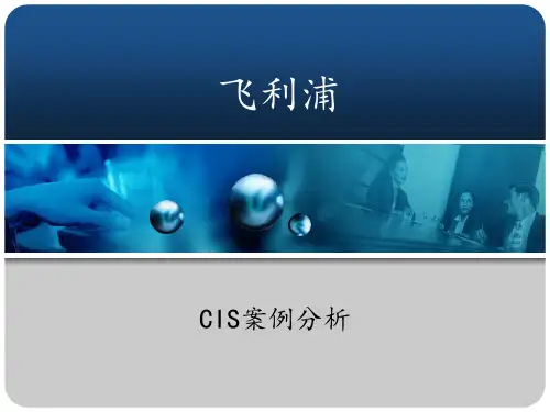 飞利浦案例分析