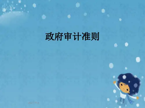 政府审计准则