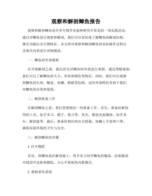 观察和解剖鲫鱼报告