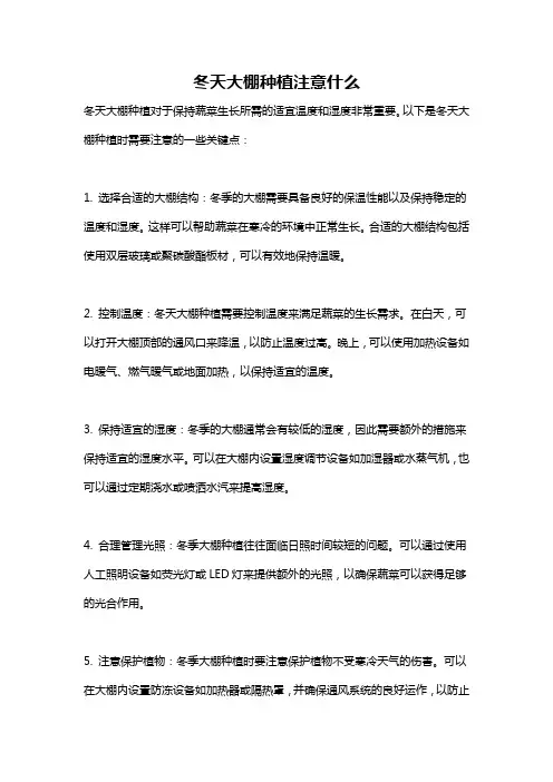 冬天大棚种植注意什么