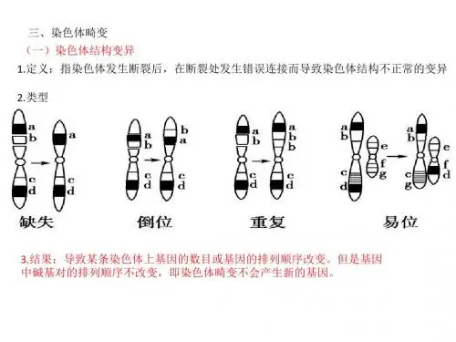 生物变异的来源