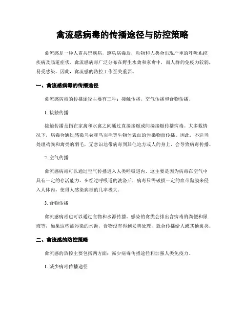 禽流感病毒的传播途径与防控策略