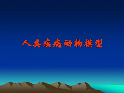 动物模型 PPT课件