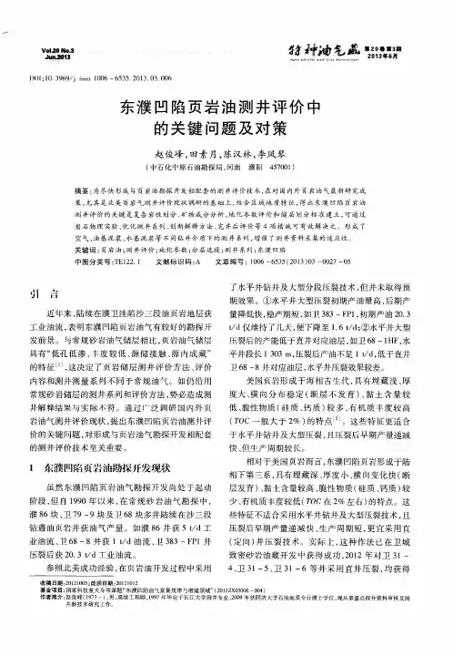 东濮凹陷页岩油测井评价中的关键问题及对策