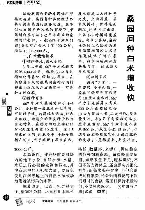 桑园间种白术增收快