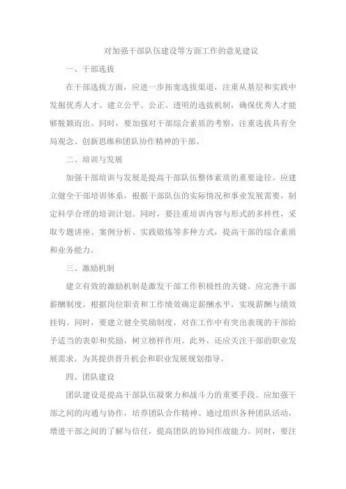 对加强干部队伍建设等方面工作的意见建议