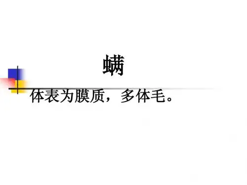 疥螨