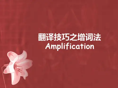 8.翻译技巧之增词法