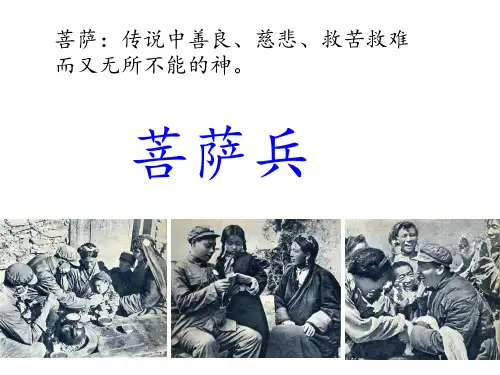 苏教版三下7《菩萨兵》PPT课件