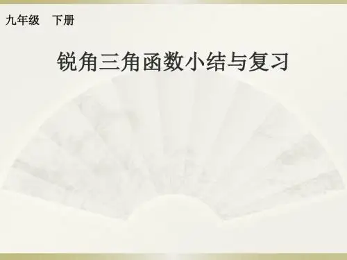 锐角三角函数小结与复习(公开课)