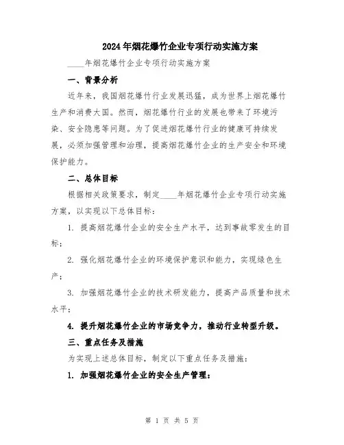 2024年烟花爆竹企业专项行动实施方案