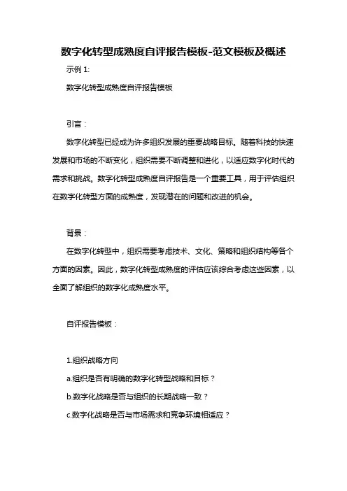 数字化转型成熟度自评报告模板-概述说明以及解释