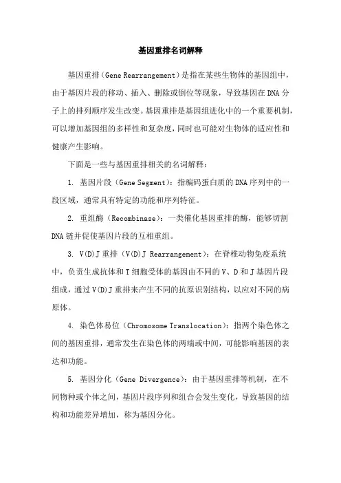 基因重排名词解释